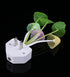 Rienar Sensor Led Night Light, Color Changing Plug-in LED Mushroom Dream Bed Lamp