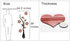 Hermione Baby 3D Vase Wall Murals for Living Room Bedroom Sofa Backdrop Tv Wall Background, Originality Stickers Gift, DIY Wall Decal Wall Decor Wall Decorations (Red, 59 X 23 inches)