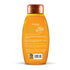 Aveeno Apple Cider Vinegar Sulfate-Free Shampoo for Balance & High Shine, Daily Clarifying & Soothing Scalp Shampoo for Oily or Dull Hair, Paraben & Dye-Free, 12 Fl Oz
