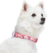 Blueberry Pet Easter Bunny and Egg Adjustable Dog Collar with Detachable Décor, Pink, Large, Neck 18"-26"
