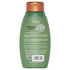 Aveeno, Fresh Greens Blend Sulfate-Free Shampoo with Rosemary, Peppermint & Cucumber to Thicken & Nourish, Clarifying & Volumizing Shampoo for Thin or Fine Hair, Paraben-Free, 12oz