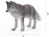 7Pcs Wolf Toy Figurines Set Wolf Animals Figures (Wolf Set A)