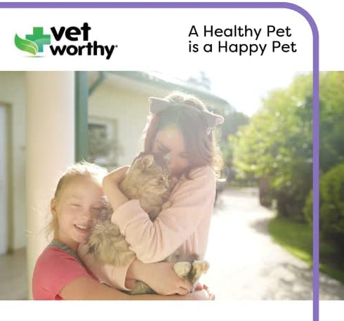 Vet Worthy Urinary Paw Gel for Cats - Cat Supplement to Support Healthy Urinary Tract and Bladder Health - Feline Supplement with Cranberry Extract, L-Lysine and Vitamin C - Salmon Flavor, 3oz