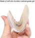 Dr.Foot Height Increase Insoles, Heel Cushion Inserts, Heel Lift Inserts for Leg Length Discrepancies (Large (1" Height))