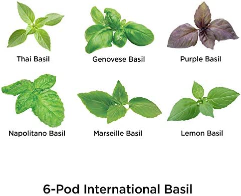 AeroGarden International Basil Seed Kit, 6-pod