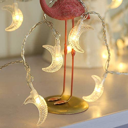 MyBuddy Moon String Lights,Outdoor LED String Lights 10FT Set of 20 LED for Wedding Garden Decoration,Party Festival Lights, Christmas Thanksgiving Decor