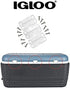 Igloo Cooler Plastic Hinges for Ice Chests (Set of 3)