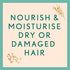 Aveeno Farm-Fresh Oat Milk Sulfate-Free Conditioner with Colloidal Oatmeal & Almond Milk, Scalp Soothing & Moisturizing Daily Conditioner for All Hair Types, Paraben & Dye-Free, 12 Fl Oz