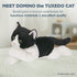 Bearington Domino Plush Stuffed Animal Black and White Tuxedo Cat, Kitten 15 Inch