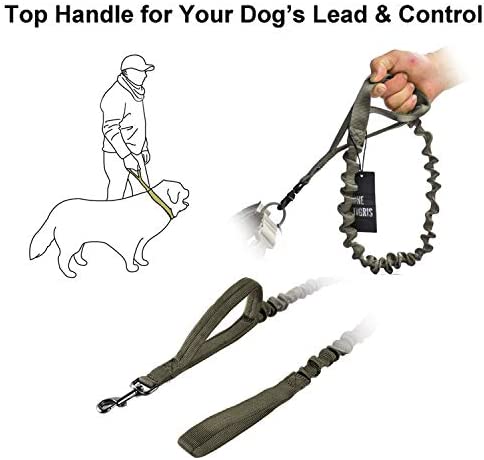 OneTigris Tactical Dog Training Bungee Leash with 2 Control Handle Quick Release Nylon Leads Rope(Ranger Green)