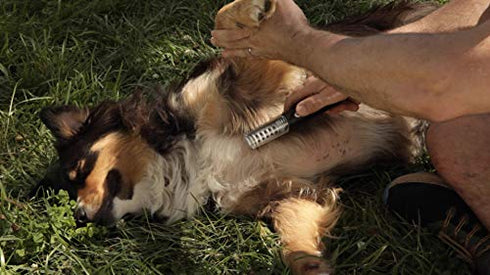 Alpha Pro All-in-One, Pain-Free, Grooming Tool Painlessly and Safely Removes Knots and Tangles from Long Haired Dog, Gift for Dog Owners, Christmas Gift for Dogs Comes in a Giftable Package