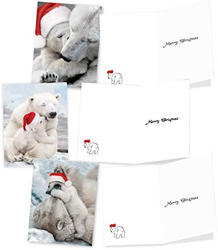 The Best Card Company Variety Pack of 10 Christmas Greeting Cards with Envelopes, Humor Holiday Assortment for Men and Women (10 Designs, 1 Each) - Bear Hugs AM6327XSG-B1x10