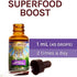 Host Defense, Lion's Mane Extract, Promotes Mental Clarity, Focus and Memory, Mushroom Supplement, Plain, 1 fl oz