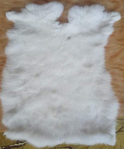 1pcs Natural White Craft Grade Rabbit Fur Pelt (10" by 12" Rabbit Pelt with Sewing Quality Leather) (Natural White)