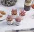 VIVERIE Faux Succulents in White Ceramic Pots (Set of 4) - Mini Life-Like Artificial Succulent Plants for Office Desk, Home Shelves, and Other Decoration Spaces