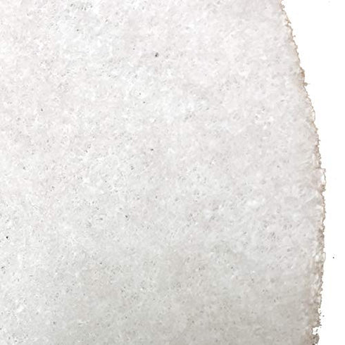 BISSELL BigGreen Commercial 437.051BG Polish Pad for BGEM9000 Easy Motion Floor Machine, 12", White