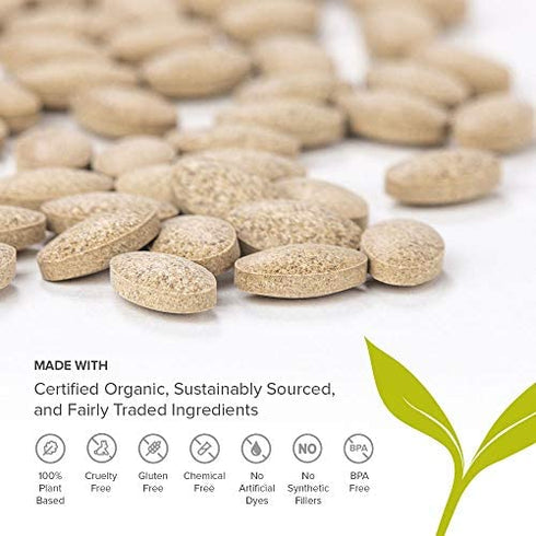 Banyan Botanicals Haritaki – Certified Organic Haritaki Tablets – Terminalia Chebula – Supports Detoxification & Rejuvenation* – 90 Tablets – Sustainably Sourced Certified Fair for Life Fair Trade