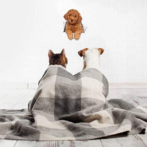 Winston & Bear 3D Dog Stickers - 2 Pack - Red Poodle for Wall, Fridge, Toilet and More - Retail Packaged Poodle Dog Stickers