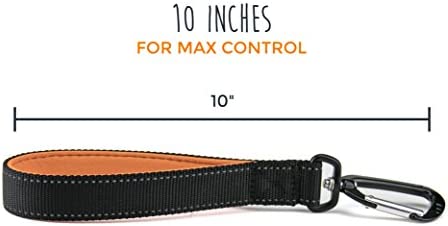 Mighty Paw Training Tab, 10” Short Dog Leash, Padded Handle, Strong Traffic Pet Lead with Carabiner Clip, Perfect for Large or Medium Dogs (Black)