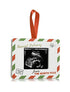 Pearhead Special Delivery Sonogram Christmas Ornament, Pregnancy Announcement Keepsake, Holiday Keepsake for Expecting Mothers, Gender-Neutral Baby Holiday Décor