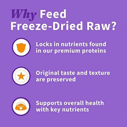 Halo Freeze Dried Raw Cat Treats, Salmon Recipe, Cat Treats Pouch, All Life Stages, 1.6-OZ Pouch
