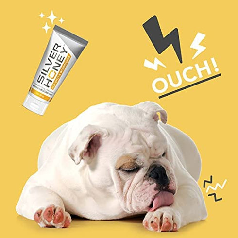 Absorbine Silver Honey Hot Spot & Wound Care Ointment, Manuka Honey & MicroSilver BG, Medicated Skin Care for Dogs, Cats, Small Animals, 2oz Tube