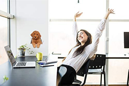 Winston & Bear 3D Dog Stickers - 2 Pack - Red Poodle for Wall, Fridge, Toilet and More - Retail Packaged Poodle Dog Stickers