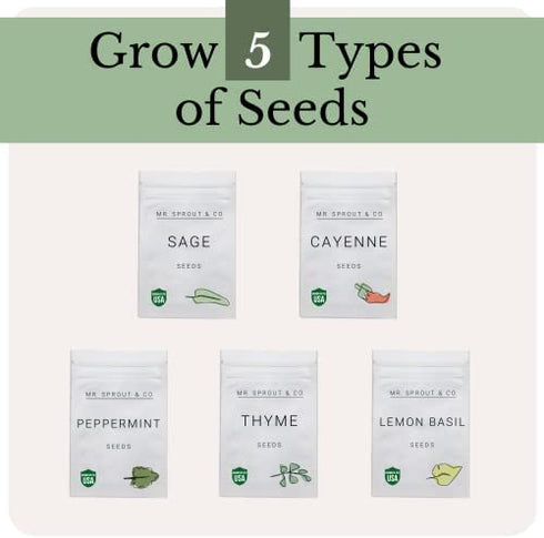 Winter Indoor Garden Kit - Herb Garden Seed Starter Kit for Gardening Indoors | Plant Grow Kit with Sage Rosemary Seeds and Hot Pepper Seeds for Planting | Growing Fresh Kitchen Herbs - By Mr Sprout