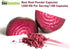 Beet Root Capsules | 1500 Mg - 100 Capsules | Beet Root Powder Extract Capsules | Supports Cardiovascular & Heart Health* | Non-GMO & Gluten-Free | Produced in the USA | TNVitamins