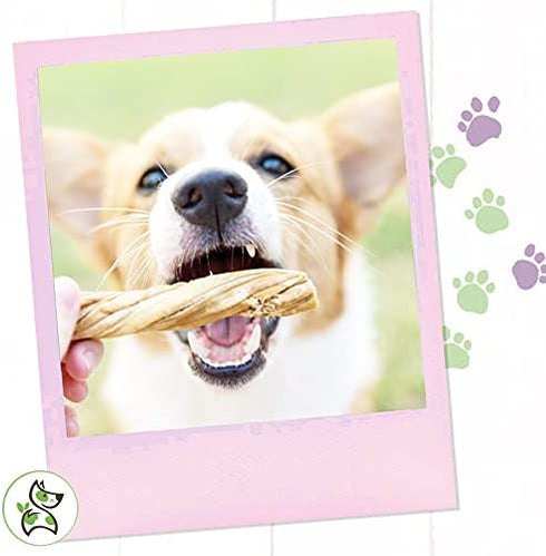 Nature Gnaws Tripe Twists for Dogs - Premium Natural Beef Sticks - Simple Single Ingredient Crunchy Dog Chew Treats - Rawhide Free