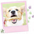 Nature Gnaws Tripe Twists for Dogs - Premium Natural Beef Sticks - Simple Single Ingredient Crunchy Dog Chew Treats - Rawhide Free
