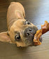 123 Treats - Pigs Ears Strips for Dogs 8 Oz Dog Treats Bag - 100% Natural Pigs Ear Slivers Chews Full of Protein Snacks Made in Brazil