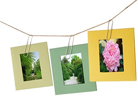 Sunmns 300 Pieces Large Size Paper Clips for Office School and Personal Use, 2 Inch