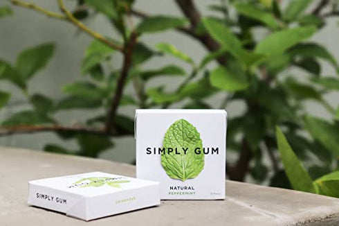 Simply Gum | Variety Pack - Peppermint, Spearmint | Pack of Six (90 Pieces Total) | Synthetic Free + Aspartame Free + non GMO