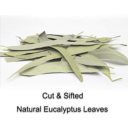 100% Natural Dried Eucalyptus Leaves, Eucalyptus Herbal Tea, Cut and Shifted, Bulk Bag (4 oz)