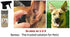 Banixx Pet Care 8oz for Ear Infections, Hot Spots, Itchy Dry Skin, Ringworm, Yeast Infections. Safe Around The Eye.