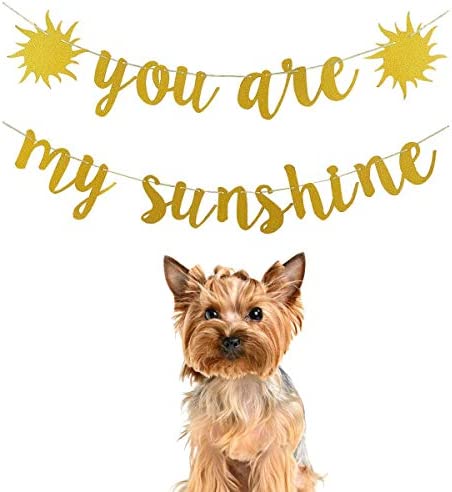 You Are My Sunshine Banner Gold Glitter, Sunshine Baby Shower Banner Decorations, You Are My Sunshine Banner for Kids Boys Girls Birthday Party Decorations Supplies