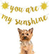 You Are My Sunshine Banner Gold Glitter, Sunshine Baby Shower Banner Decorations, You Are My Sunshine Banner for Kids Boys Girls Birthday Party Decorations Supplies