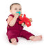 Bright Starts Sesame Street Cozy Coo Soothing BPA-Free Pacifier with Plush Toy - Elmo, Ages Newborn + , Green , 4.42x2.04x4.17 Inch (Pack of 1)