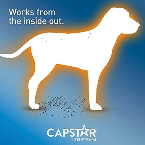 Capstar Flea Tablets for Dogs 2-25 lbs., Count of 12, 12 CT