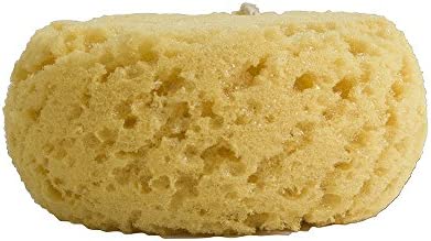 Evriholder Foam Body Sponge for Exfoliating Large Scrubber for a Relaxing Shower or Bath, Pack of 2