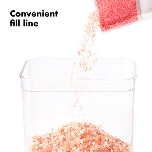 OXO Good Grips POP Container - Airtight Food Storage - 1.1 Qt for Nuts and More,Transparent