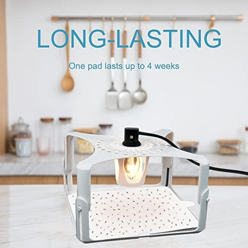 12 Pack Flea Trap Refill Discs 6" Replacement Glue Boards Fits Terro T230 T231 Square Flea Bed Bug Traps for Inside Your Home, Sticky Pads for Fleas, Bugs, Flies, Mosquitos, etc