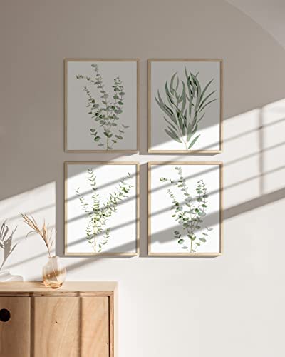 HAUS AND HUES Botanical Plant Wall Art Prints - Set of 4 Plant Wall Decor Prints, Floral Kitchen Plant Pictures, Flower Leaves Wall Art, Boho Leaf Eucalyptus Wall Décor