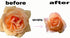 Arunkriss Herbs Yoni Steaming Herbs 5 Steams Vigina Tighting Feminine Steam Cleansing The Repair Grass Tightening Herb Firming and Repair for Women