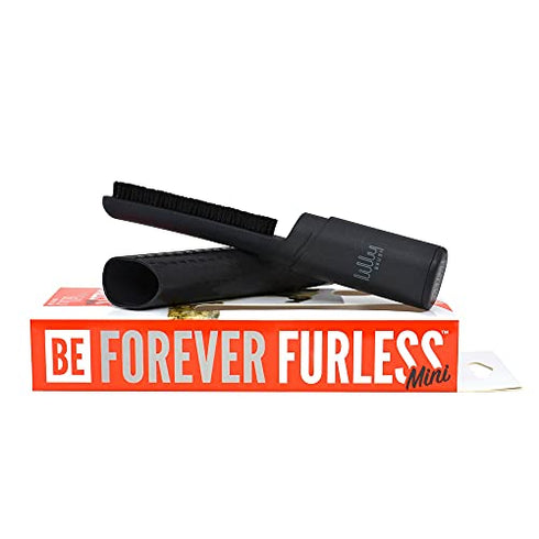 Lilly Brush Be Forever Furless MINI- Portable/Compact Dog Hair, Cat Hair, and Lint Remover (Graphite Grey)