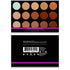 SHANY Professional Cream Foundation and Camouflage Concealer - 15 Color Palette