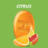 HALLS Defense Assorted Citrus Vitamin C Drops, Dietary Supplement Drops, 30 Drops