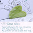 Ice Roller for Face and Gua Sha Facial Tools, BAIMEI Ice Face Roller Reduces Puffiness Migraine Pain Relief-Pink
