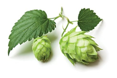 Hops Flowers - Dried Humulus lupulus Loose Tea from 100% Nature (2 oz)